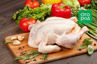 Три блюда из одной курицы: как экономно разделать птицу - ogorod.ru