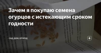 Семен Огурцов - Зачем я покупаю семена огурцов с истекающим сроком годности - zen.yandex.ru