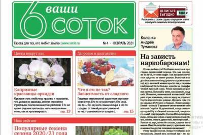 Вышел второй февральский номер газеты «Ваши 6 соток» - sotki.ru - Россия