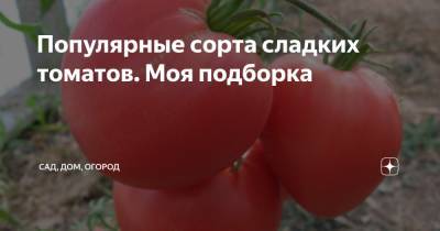 Популярные сорта сладких томатов. Моя подборка - zen.yandex.ru