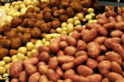 Целебные свойства картофеля - sad-dacha-ogorod.com