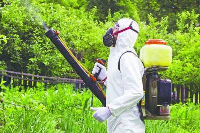 Дачный участок: борьба с вредителями и болезнями - sotki.ru