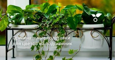 Оригинальные подставки для цветов на подоконник - botanichka.ru