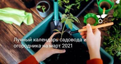 Лунный календарь садовода и огородника на март 2021 - botanichka.ru