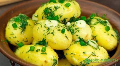 Суперранние сорта картофеля - agro-market24.ru