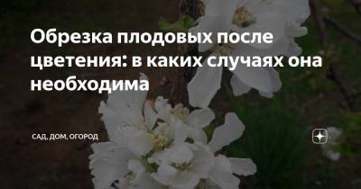 Обрезка плодовых после цветения: в каких случаях она необходима - zen.yandex.ru - Волгоградская обл.