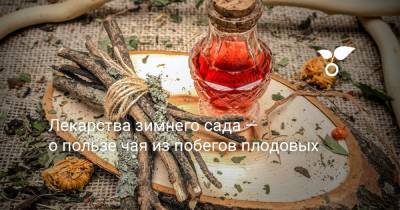 Лекарства зимнего сада — о пользе чая из побегов плодовых - botanichka.ru