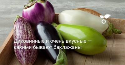 Диковинные и очень вкусные — какими бывают баклажаны - botanichka.ru