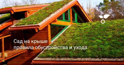 Сад на крыше — правила обустройства и ухода - botanichka.ru