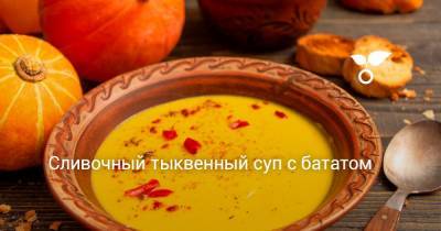 Сливочный тыквенный суп с бататом - botanichka.ru