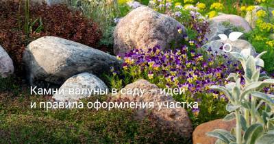 Камни-валуны в саду — идеи и правила оформления участка - botanichka.ru