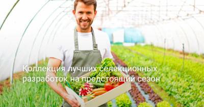 Коллекция лучших селекционных разработок на предстоящий сезон - botanichka.ru