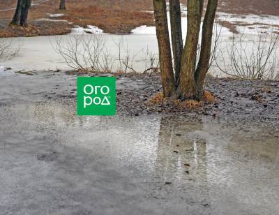 Затопило участок весной – что делать? - ogorod.ru