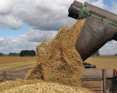 Сельхозпроизводителей лишили доходов, но обещали поддержать кредитом - rynok-apk.ru - Россия