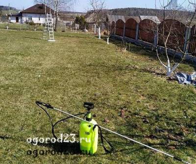 Подкормка деревьев ранней весной, чем, когда и как - ogorod23.ru