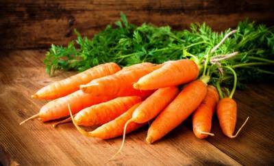 Сорт моркови Ромоса: описание, фото и отзывы - fermilon.ru
