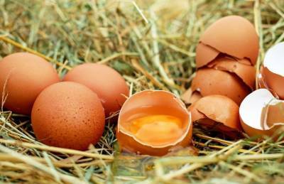 Какие 3 лайфхаки с яйцами стоит взять на заметку - belnovosti.by