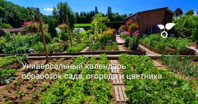 Универсальный календарь обработок сада, огорода и цветника - botanichka.ru