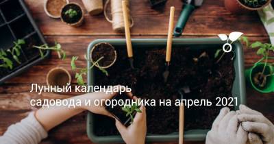 Лунный календарь садовода и огородника на апрель 2021 - botanichka.ru