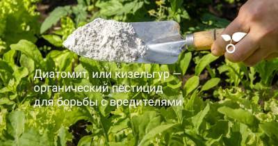 Диатомит, или кизельгур — органический пестицид для борьбы с вредителями - botanichka.ru