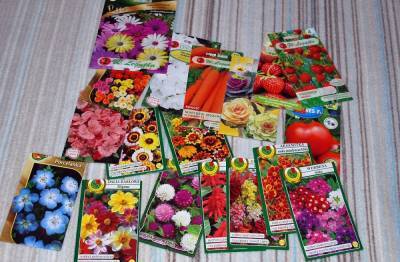 Какие цветы сажать на рассаду в апреле - ogorod.ru