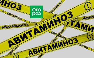 Весенний авитаминоз – как определить у взрослого и ребенка и как помочь организму - ogorod.ru