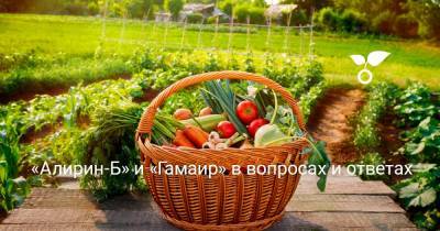 «Алирин-Б» и «Гамаир» в вопросах и ответах - botanichka.ru