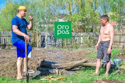 Как сделать плодородную землю из суглинка или глины: пошаговая инструкция - ogorod.ru