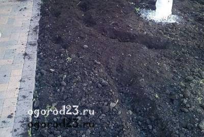 Работы весной в саду и огороде, когда и как войти в огород - ogorod23.ru