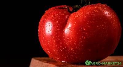 Крупноплодные томаты - agro-market24.ru