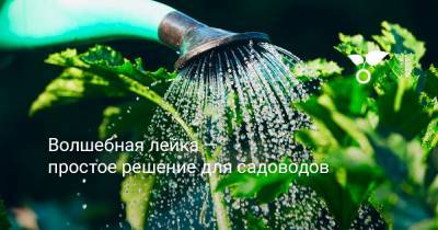 Волшебная лейка — простое решение для садоводов - botanichka.ru
