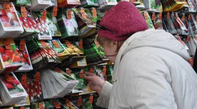 Власти наводят порядок в семеноводстве: что будет с ценой на семена? - supersadovnik.ru