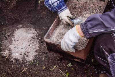 Как раскислить почву на участке – полезные советы для садоводов и огородников - ogorod.ru