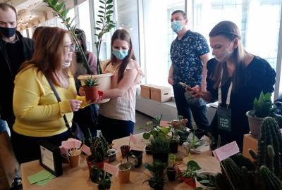 Зелёный обмен: в Екатеринбурге прошёл первый фестиваль комнатных растений - oblgazeta.ru - Екатеринбург