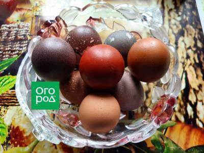 Как быстро покрасить яйца на Пасху тем, что оказалось под рукой, – честный мастер-класс - ogorod.ru