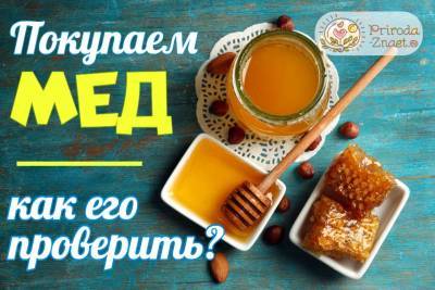 Как проверить качество меда - selomoe.ru