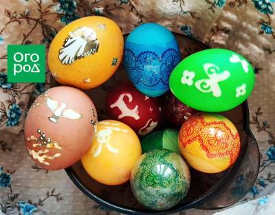 Как красиво покрасить яйца в домашних условиях, если не умеешь рисовать, – мастер-класс с фото - ogorod.ru
