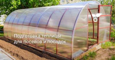 Подготовка теплицы для посевов и посадок - botanichka.ru