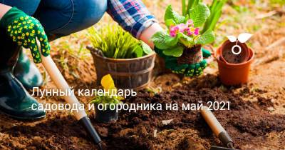 Лунный календарь садовода и огородника на май 2021 - botanichka.ru