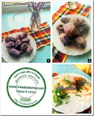 Синий картофель Салблю (фото) выращивание и мои отзывы - vsaduidoma.com