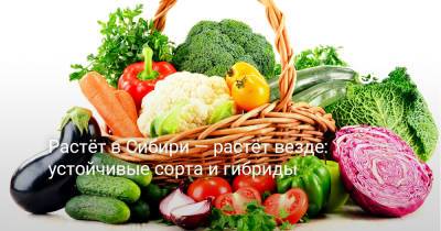Растёт в Сибири — растёт везде: устойчивые сорта и гибриды - botanichka.ru