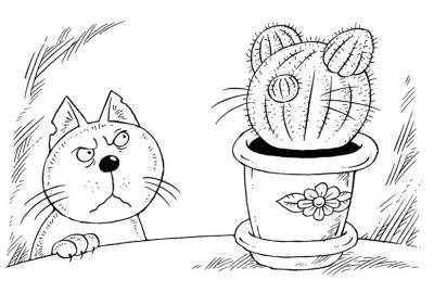 Коты и растения: пять советов от екатеринбургского эксперта о том, как уберечь их друг от друга - oblgazeta.ru