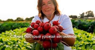 Самый быстрый урожай витаминов - botanichka.ru