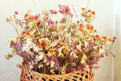 Сухоцветы: растения для создания композиций - sotki.ru