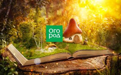 Как оформить участок в стиле русских сказок (растения, дорожки, фигуры и постройки) - ogorod.ru