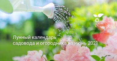 Лунный календарь садовода и огородника на июнь 2021 - botanichka.ru
