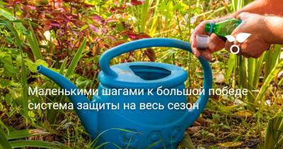 Маленькими шагами к большой победе — система защиты на весь сезон - botanichka.ru