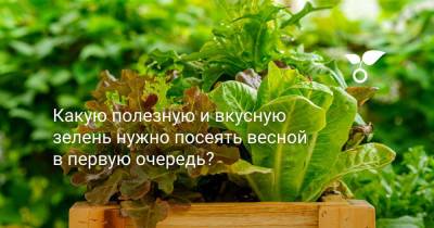 Какую полезную и вкусную зелень нужно посеять весной в первую очередь? - botanichka.ru