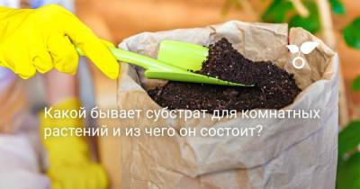 Какой бывает субстрат для комнатных растений и из чего он состоит? - botanichka.ru