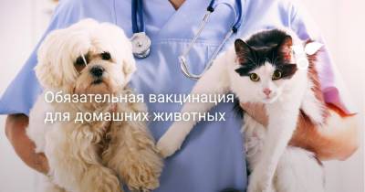 Обязательная вакцинация для домашних животных - botanichka.ru